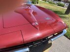 Thumbnail Photo 13 for 1966 Chevrolet Corvette